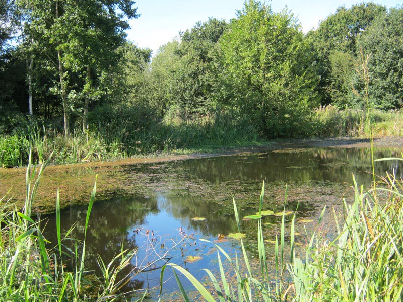 Montgomery Canal restoration receives major lottery award