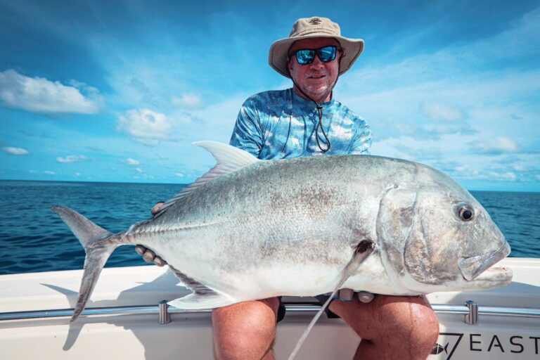 457017356 1054695393323231 6658751851568364689 n 768x512