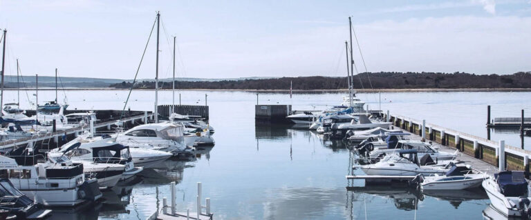 lake yard 1 768x319